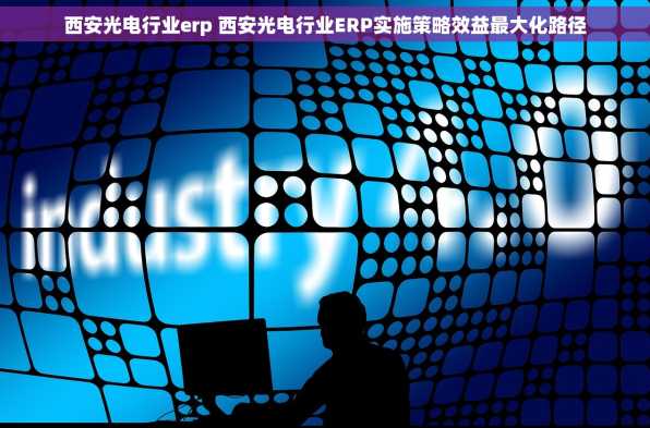 西安光电行业erp 西安光电行业ERP实施策略效益最大化路径