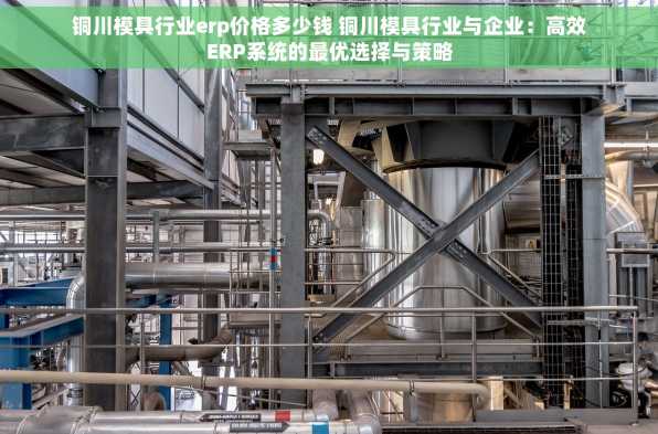 铜川模具行业erp价格多少钱 铜川模具行业与企业：高效ERP系统的最优选择与策略