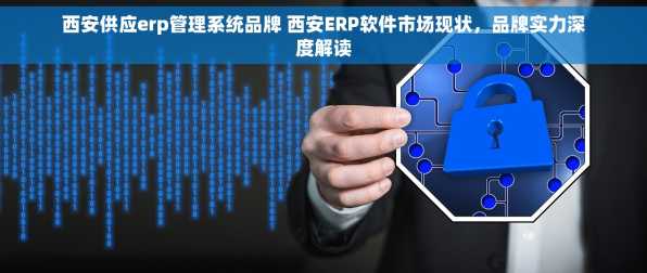 西安供应erp管理系统品牌 西安ERP软件市场现状，品牌实力深度解读