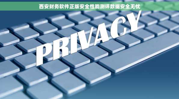 西安财务软件正版安全性能测评数据安全无忧