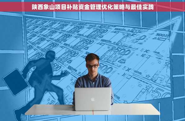 陕西象山项目补贴资金管理优化策略与最佳实践