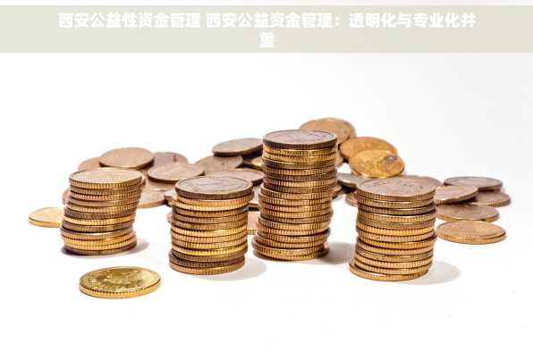 西安公益性资金管理 西安公益资金管理：透明化与专业化并重