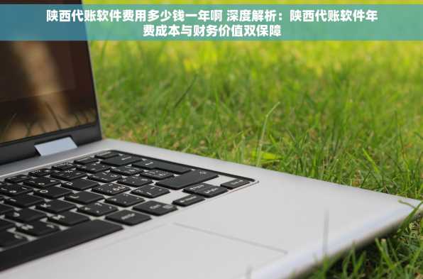 陕西代账软件费用多少钱一年啊 深度解析：陕西代账软件年费成本与财务价值双保障
