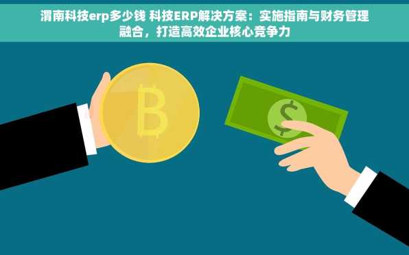 渭南科技erp多少钱 科技ERP解决方案：实施指南与财务管理融合，打造高效企业核心竞争力