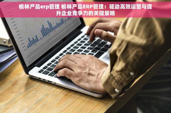 榆林产品erp管理 榆林产品ERP管理：驱动高效运营与提升企业竞争力的关键策略