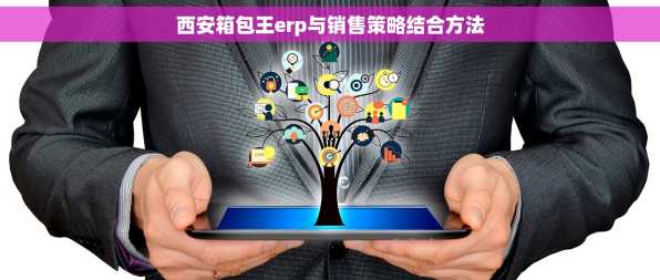西安箱包王erp与销售策略结合方法