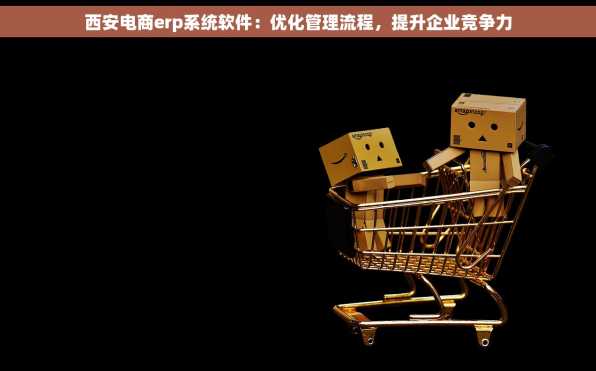 西安电商erp系统软件：优化管理流程，提升企业竞争力