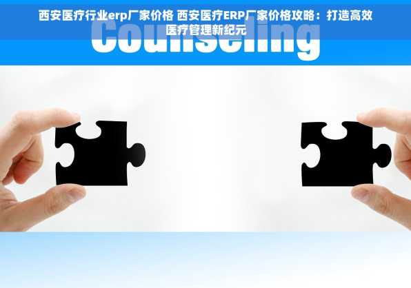 西安医疗行业erp厂家价格 西安医疗ERP厂家价格攻略：打造高效医疗管理新纪元
