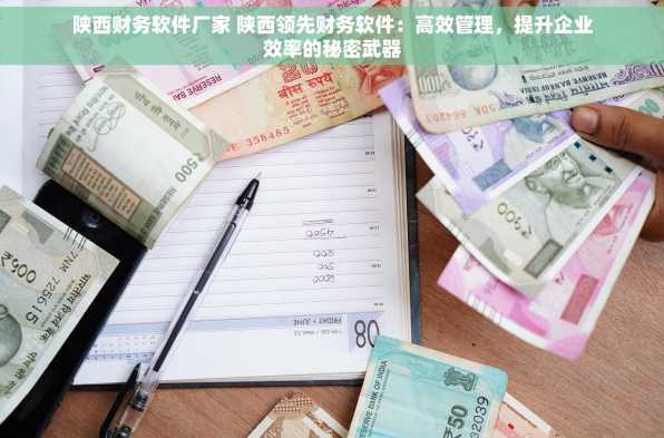 陕西财务软件厂家 陕西领先财务软件：高效管理，提升企业效率的秘密武器