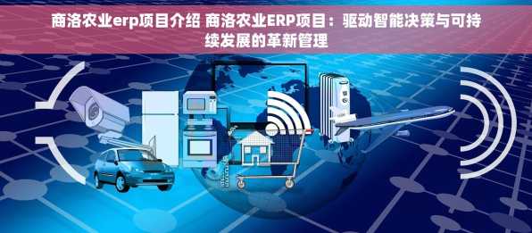 商洛农业erp项目介绍 商洛农业ERP项目：驱动智能决策与可持续发展的革新管理