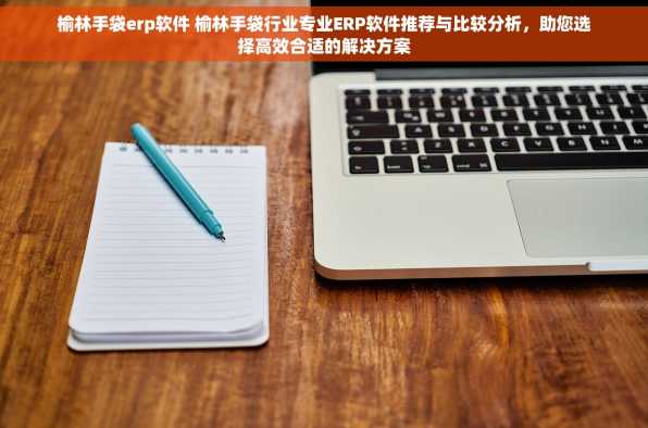 榆林手袋erp软件 榆林手袋行业专业ERP软件推荐与比较分析，助您选择高效合适的解决方案
