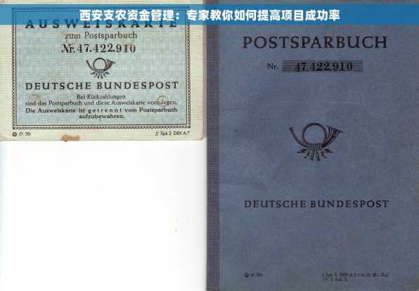 西安支农资金管理：专家教你如何提高项目成功率