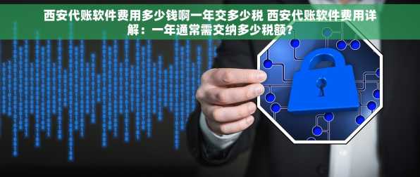 西安代账软件费用多少钱啊一年交多少税 西安代账软件费用详解：一年通常需交纳多少税额？