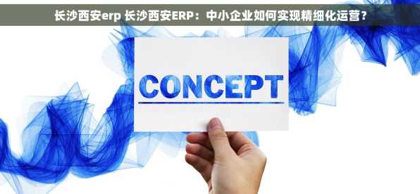 长沙西安erp 长沙西安ERP：中小企业如何实现精细化运营？