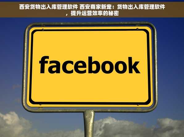 西安货物出入库管理软件 西安商家新宠：货物出入库管理软件，提升运营效率的秘密