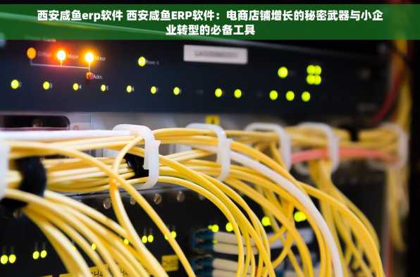 西安咸鱼erp软件 西安咸鱼ERP软件：电商店铺增长的秘密武器与小企业转型的必备工具