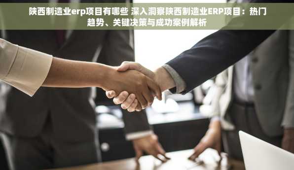 陕西制造业erp项目有哪些 深入洞察陕西制造业ERP项目：热门趋势、关键决策与成功案例解析