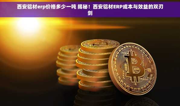 西安铝材erp价格多少一吨 揭秘！西安铝材ERP成本与效益的双刃剑