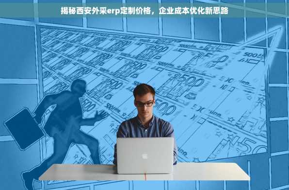 揭秘西安外采erp定制价格，企业成本优化新思路