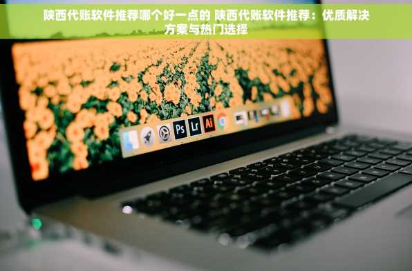 陕西代账软件推荐哪个好一点的 陕西代账软件推荐：优质解决方案与热门选择