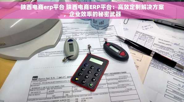 陕西电商erp平台 陕西电商ERP平台：高效定制解决方案，企业效率的秘密武器