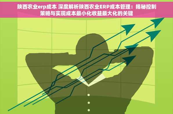 陕西农业erp成本 深度解析陕西农业ERP成本管理：揭秘控制策略与实现成本最小化收益最大化的关键