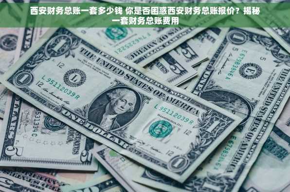 西安财务总账一套多少钱 你是否困惑西安财务总账报价？揭秘一套财务总账费用