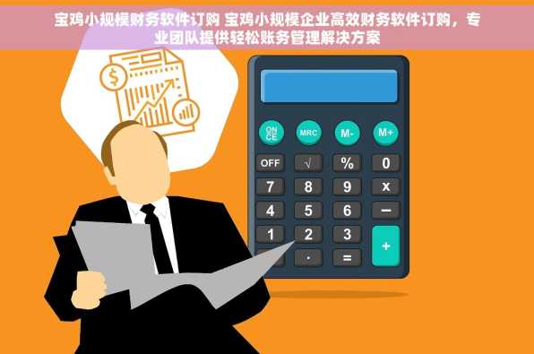 宝鸡小规模财务软件订购 宝鸡小规模企业高效财务软件订购，专业团队提供轻松账务管理解决方案