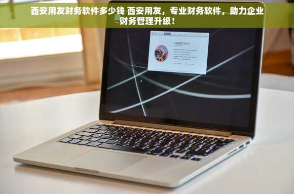 西安用友财务软件多少钱 西安用友，专业财务软件，助力企业财务管理升级！