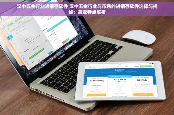 汉中五金行业进销存软件 汉中五金行业与市场的进销存软件选择与揭秘：高效特点解析