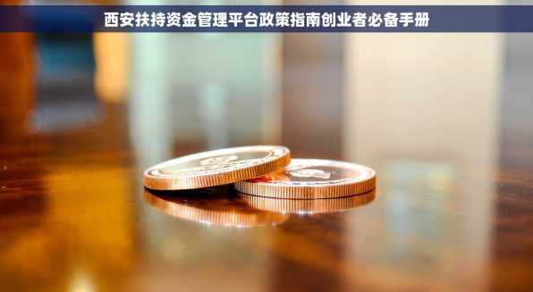 西安扶持资金管理平台政策指南创业者必备手册