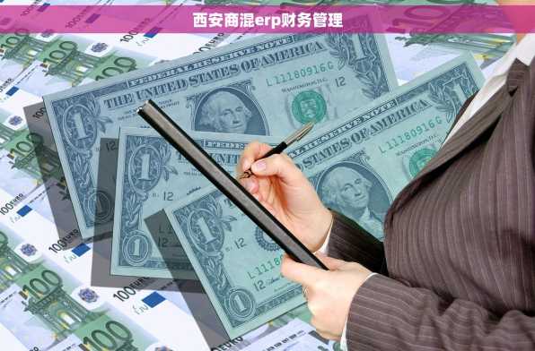 西安商混erp财务管理