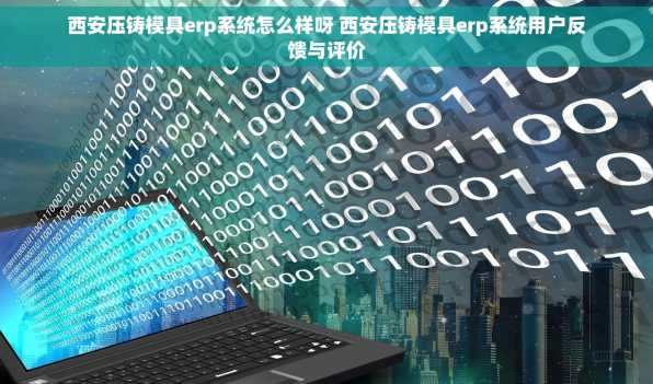 西安压铸模具erp系统怎么样呀 西安压铸模具erp系统用户反馈与评价
