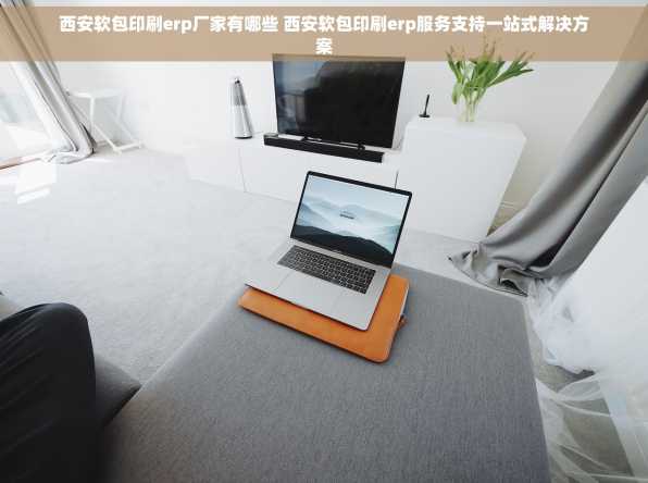 西安软包印刷erp厂家有哪些 西安软包印刷erp服务支持一站式解决方案