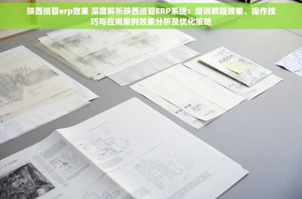 陕西纸管erp效果 深度解析陕西纸管ERP系统：培训教程效果、操作技巧与应用案例效果分析及优化策略