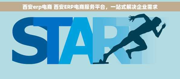西安erp电商 西安ERP电商服务平台，一站式解决企业需求