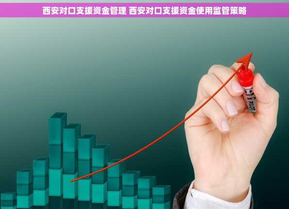 西安对口支援资金管理 西安对口支援资金使用监管策略