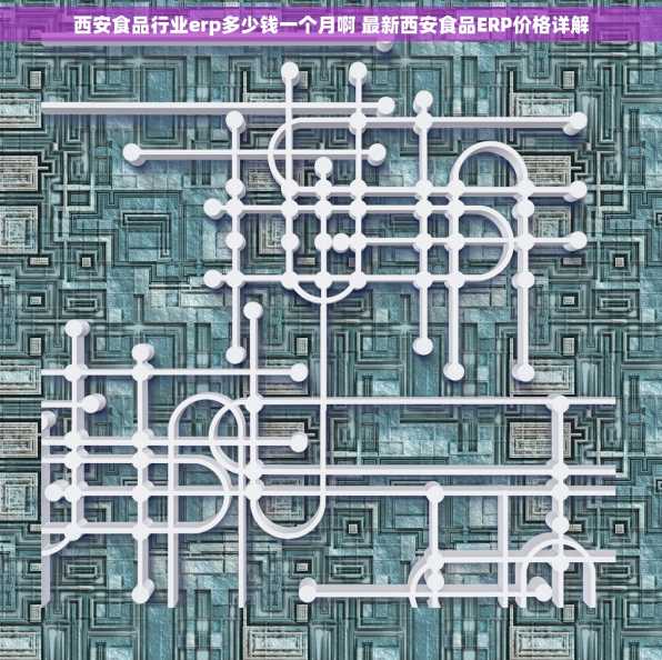 西安食品行业erp多少钱一个月啊 最新西安食品ERP价格详解