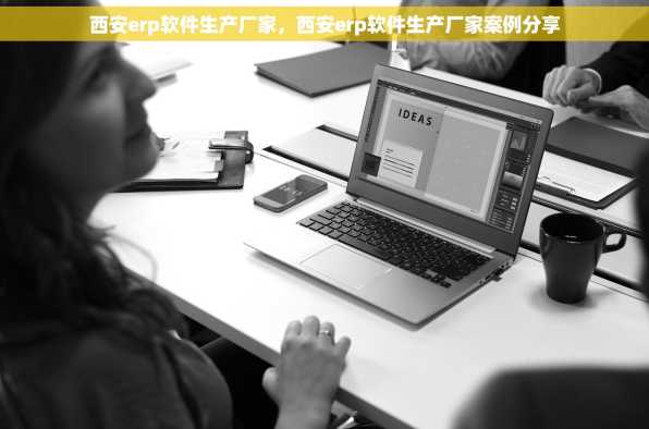 西安erp软件生产厂家，西安erp软件生产厂家案例分享