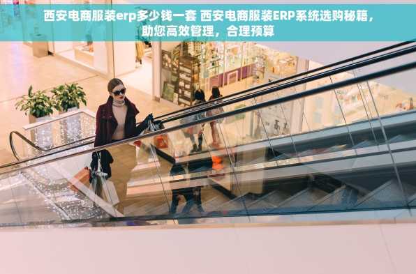 西安电商服装erp多少钱一套 西安电商服装ERP系统选购秘籍，助您高效管理，合理预算