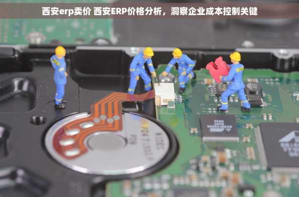 西安erp卖价 西安ERP价格分析，洞察企业成本控制关键