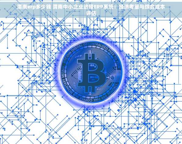 渭南erp多少钱 渭南中小企业选择ERP系统：经济考量与综合成本评估