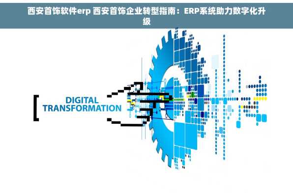 西安首饰软件erp 西安首饰企业转型指南：ERP系统助力数字化升级