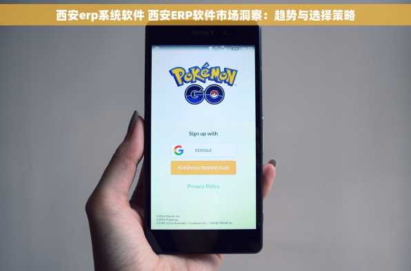 西安erp系统软件 西安ERP软件市场洞察：趋势与选择策略