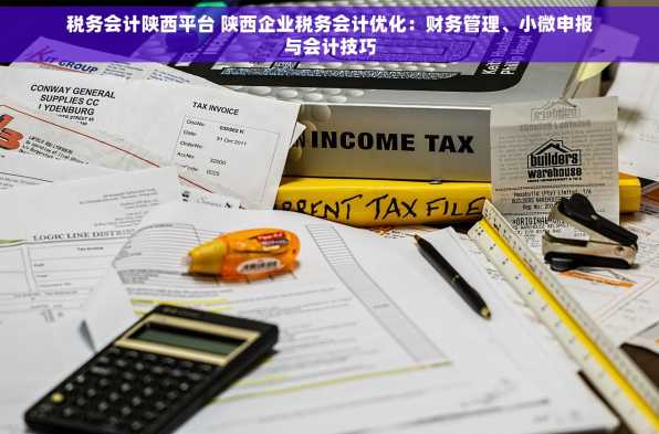 税务会计陕西平台 陕西企业税务会计优化：财务管理、小微申报与会计技巧
