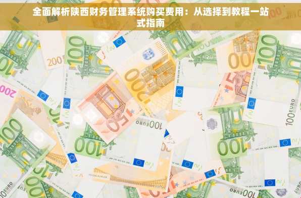 全面解析陕西财务管理系统购买费用：从选择到教程一站式指南