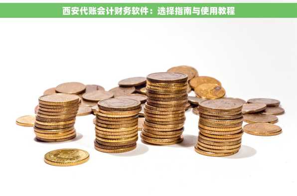 西安代账会计财务软件：选择指南与使用教程