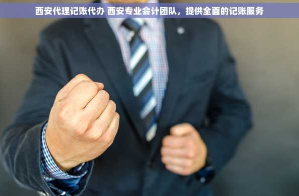 西安代理记账代办 西安专业会计团队，提供全面的记账服务