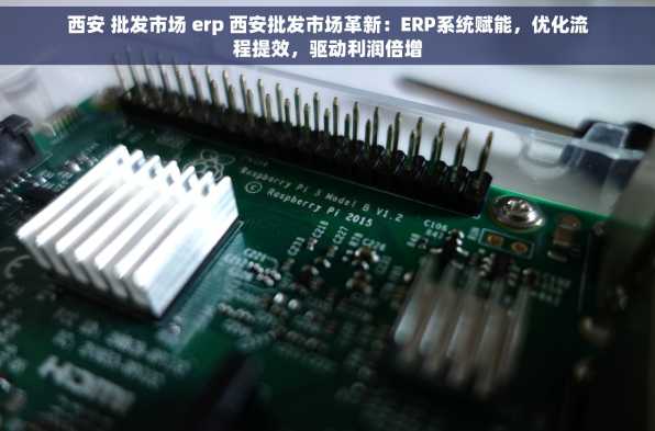 西安 批发市场 erp 西安批发市场革新：ERP系统赋能，优化流程提效，驱动利润倍增