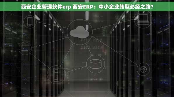 西安企业管理软件erp 西安ERP：中小企业转型必经之路？
